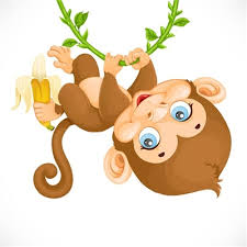 FUNKY MONKEY SOY CANDLE